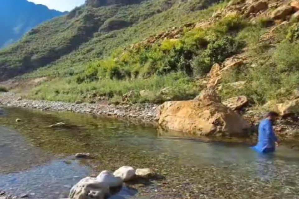 buner-rf11-5